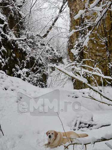 Foto Ulita Pietrei (c) Lucian Petru Goja